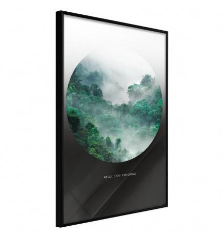 38,00 € Poster in het groene bos met mist uit het portaal Arredalacasa