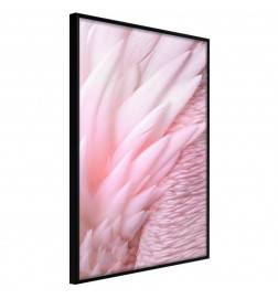 38,00 € Póster - Pink Feathers