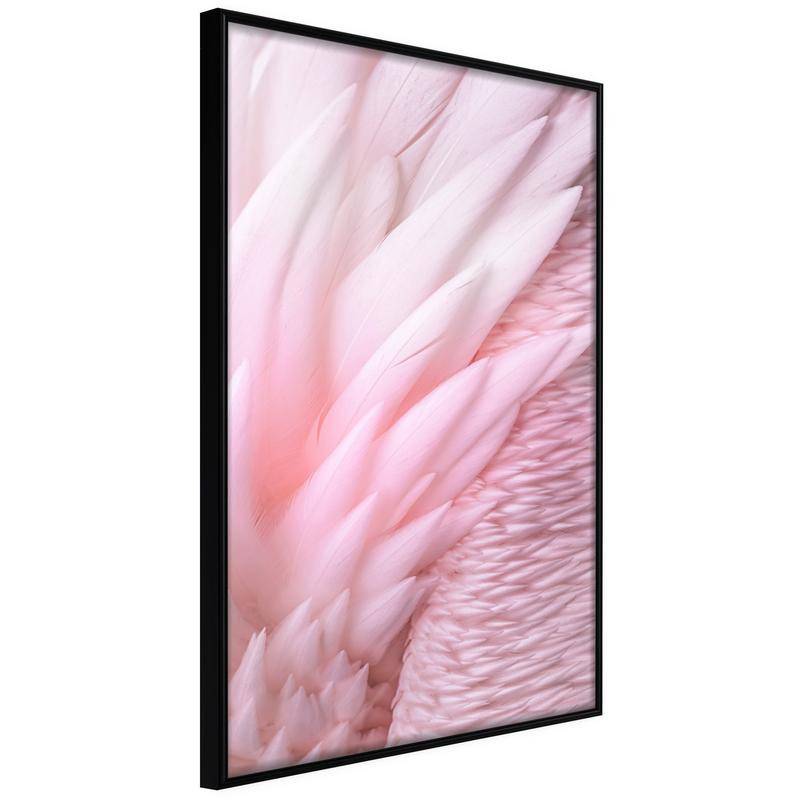 38,00 € Poster - Pink Feathers