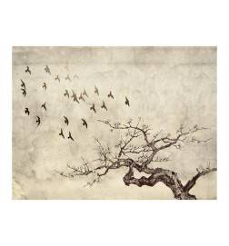 Fototapete - Flock of birds