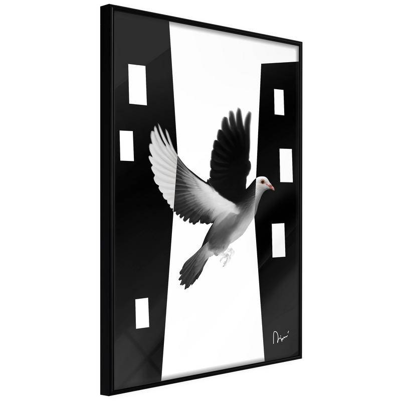 38,00 € Poster met een vogel in vlucht