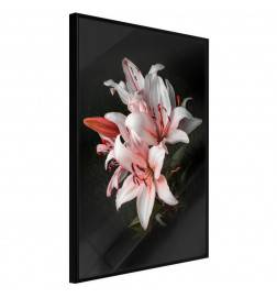 Poster et affiche - Pale Pink Lilies