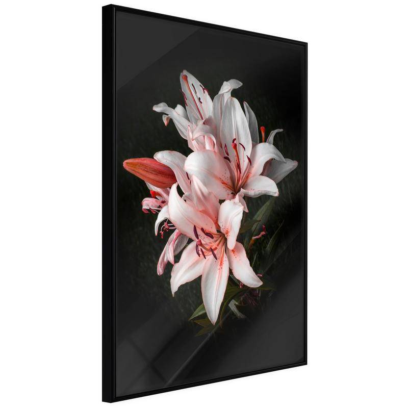 38,00 €Poster et affiche - Pale Pink Lilies