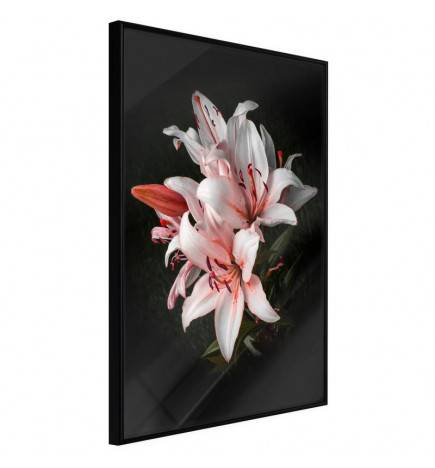 38,00 € Poster met roze lelies, Arredalacasa