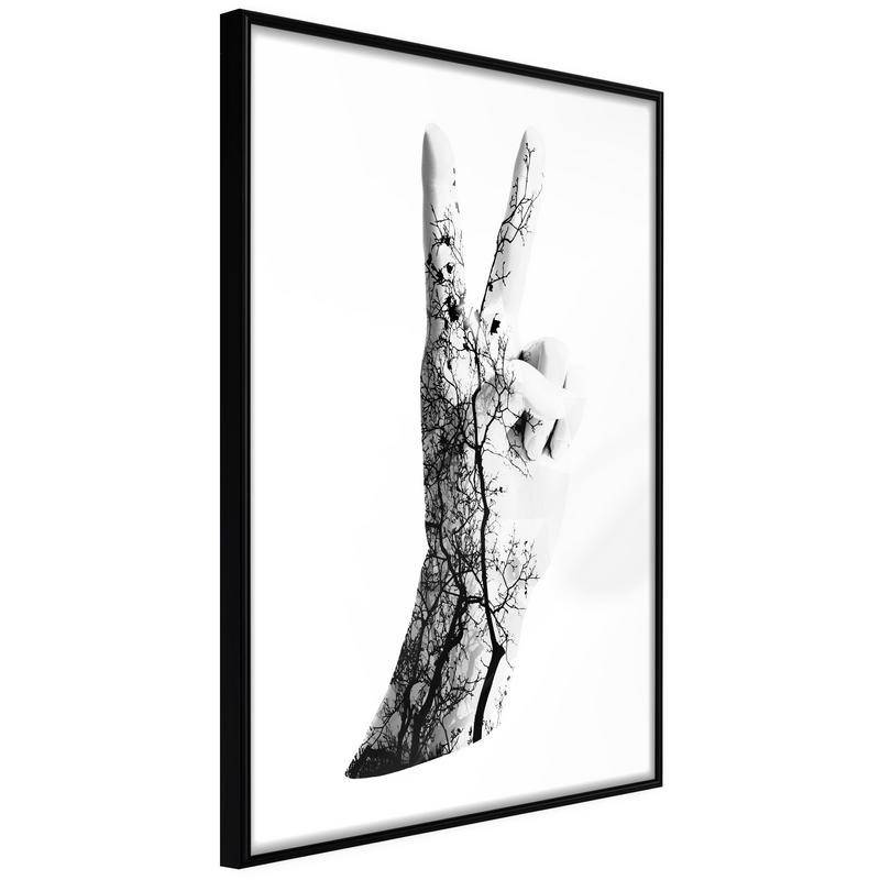 38,00 € Poster - Peace