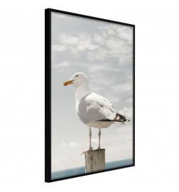 Poster - Curious Seagull