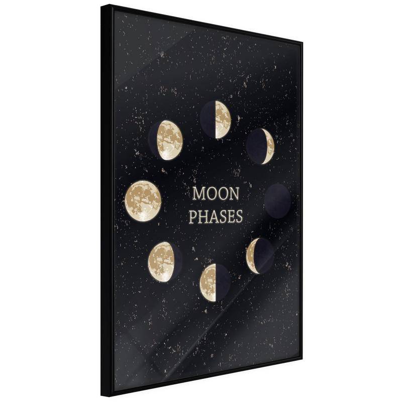 38,00 € Poster - In the Rhythm of the Moon