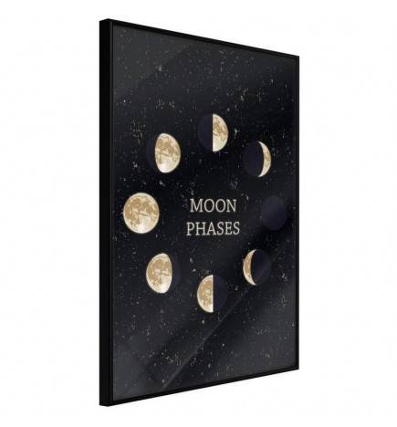 38,00 € Póster - In the Rhythm of the Moon