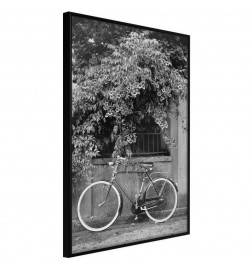 Poster - Bicycle with White Tires
