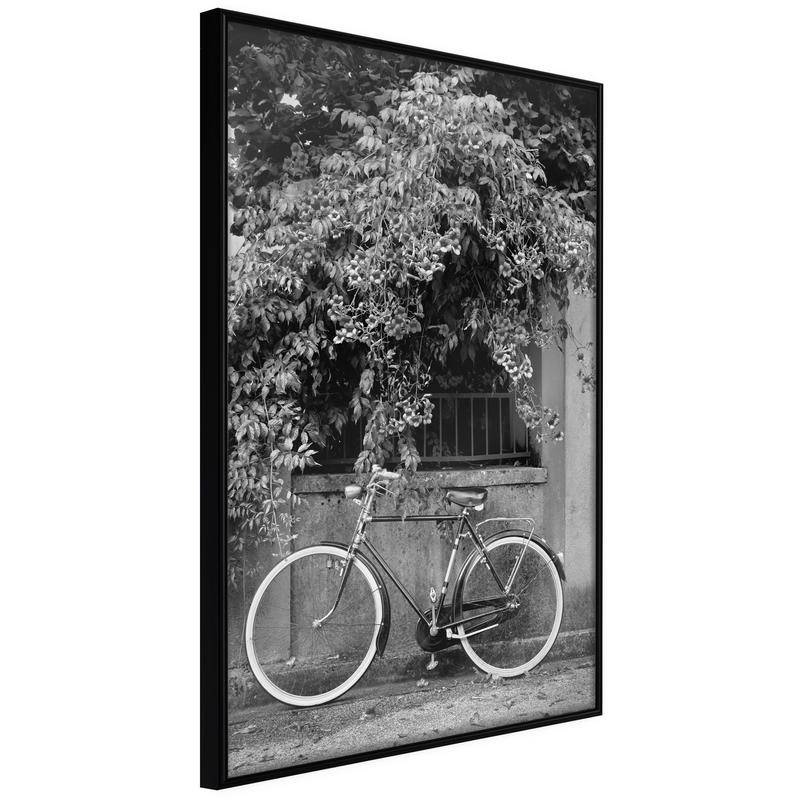 38,00 € Poster - Bicycle with White Tires
