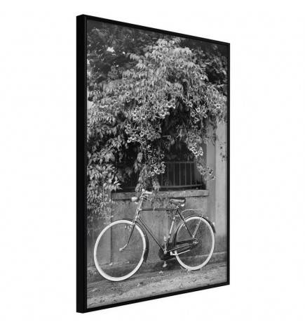 Poster et affiche - Bicycle with White Tires