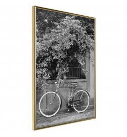 Poster - Bicycle with White Tires