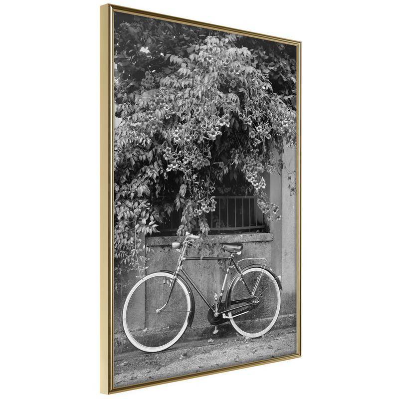 38,00 € Poster - Bicycle with White Tires