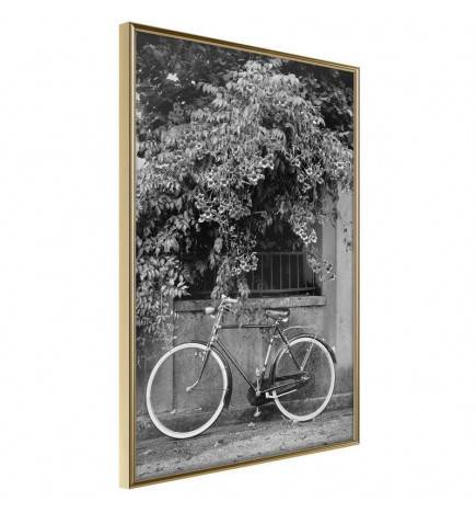 Póster - Bicycle with White Tires