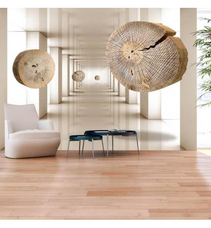 34,00 € Wallpaper - Flying Discs of Wood
