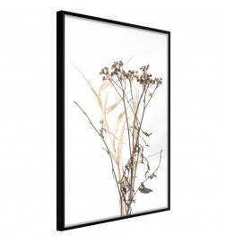 38,00 € Poster - Diary of a Herbalist