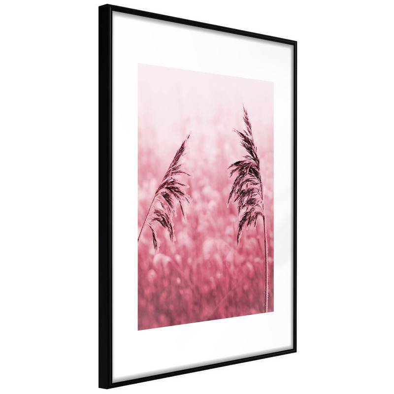 38,00 € Poster met een roze veld