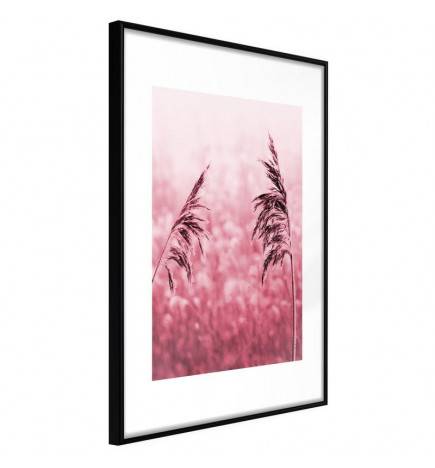 Poster met een roze veld