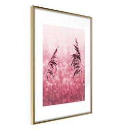 Poster met een roze veld