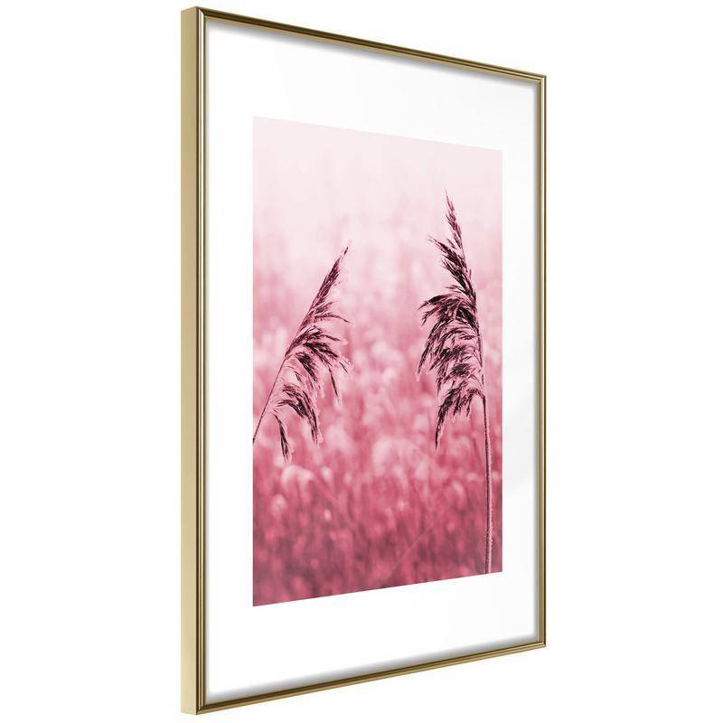 38,00 € Plakat z rožnatim poljem - Arredalacasa