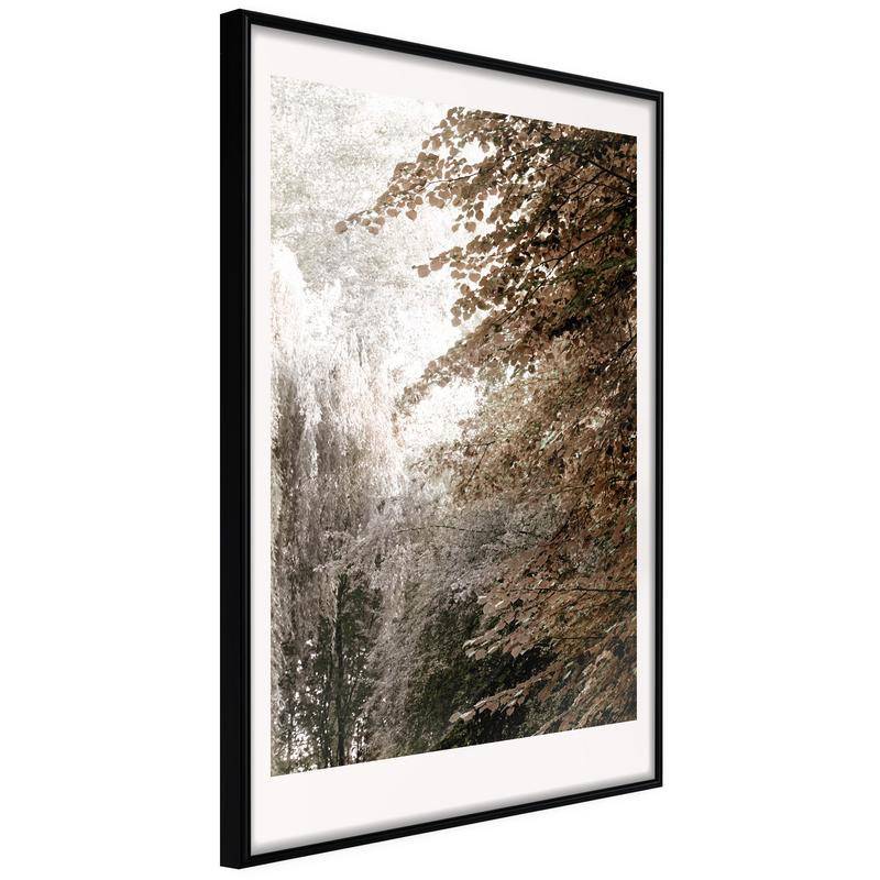 45,00 € Poster - Pond in the Park
