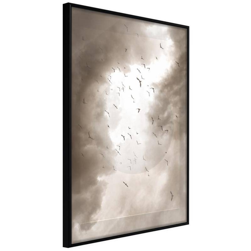 38,00 € Poster con gli uccelli in volo nel cielo nuvoloso - Arredalacasa
