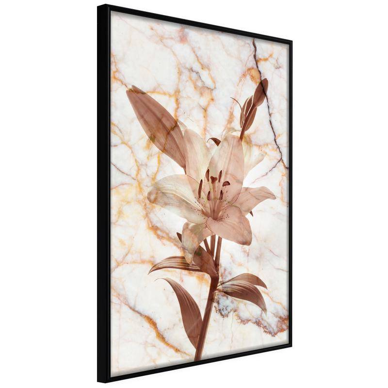 45,00 € Poster - Lily on Marble Background
