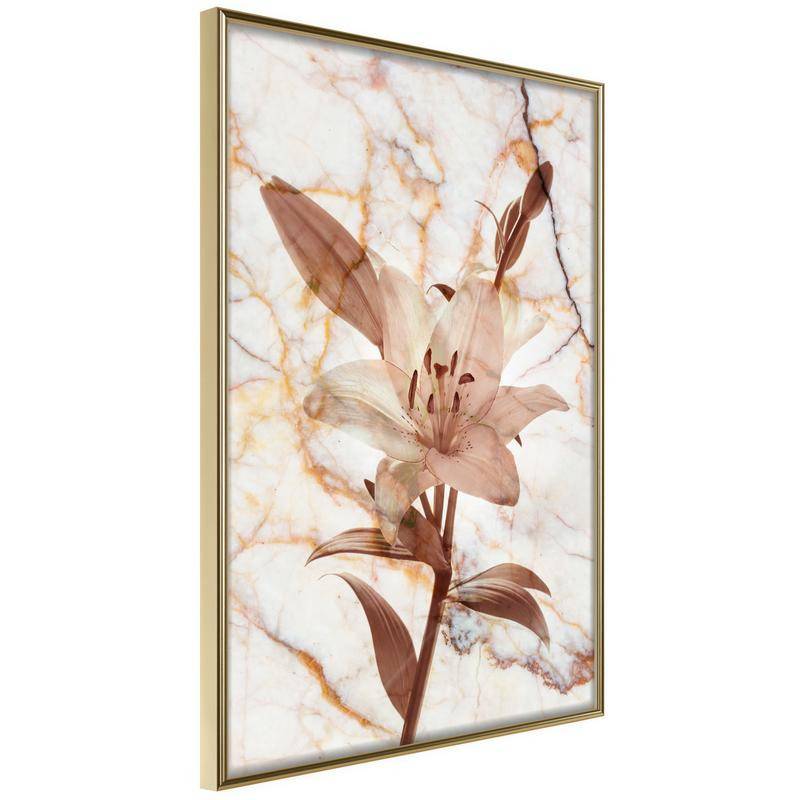 45,00 €Poster et affiche - Lily on Marble Background