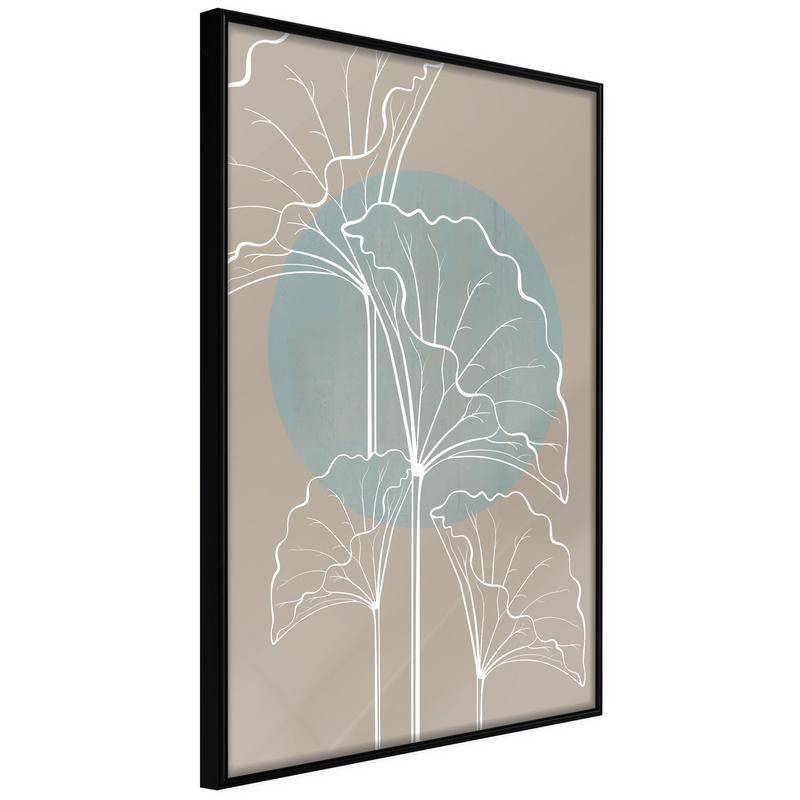 38,00 € Poster - Miraculous Plant