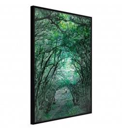 38,00 €Poster et affiche - Tree Tunnel