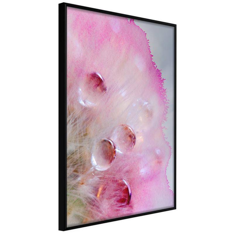 38,00 € Abstract Pink Poster