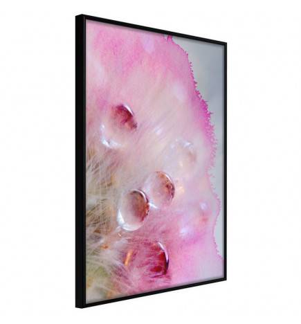Abstract Pink Poster