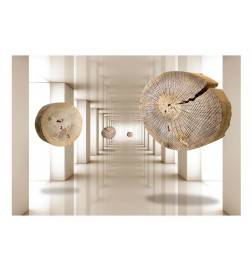 Wallpaper - Flying Discs of Wood