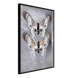 38,00 € Poster - Two Moths