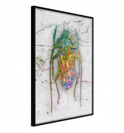 38,00 € Poster met een grote gekleurde insect Arredalacasa