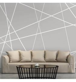 34,00 € Wallpaper - Modern Cobweb