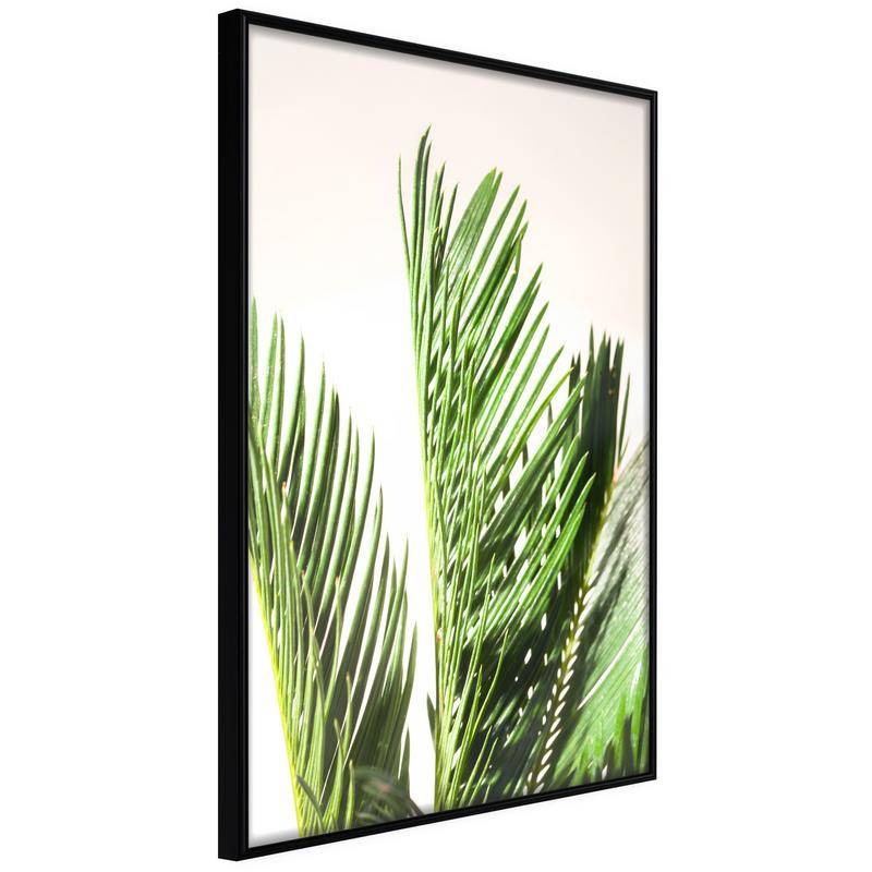 38,00 € Poster cu frunze de palmă verde - Arredalacasa