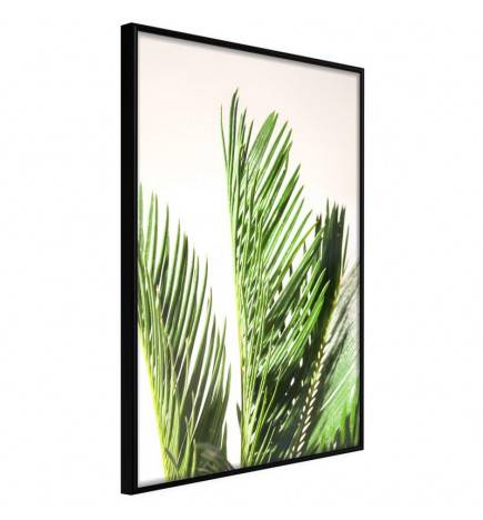 Plakatas su žaliais palmių lapais – Arredalacasa
