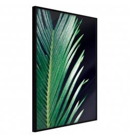 38,00 € Plakat z zelenim palmovim listom - Arredalacasa