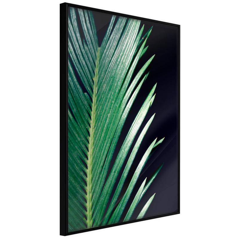 38,00 € Poster - Soothing Green