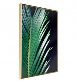 Plakat z zelenim palmovim listom - Arredalacasa