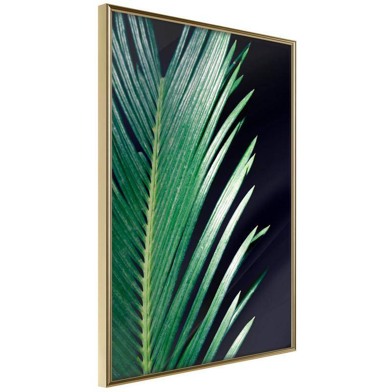 38,00 € Poster - Soothing Green