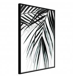 38,00 € Poster met vallende palmbladeren, Arredalacasa
