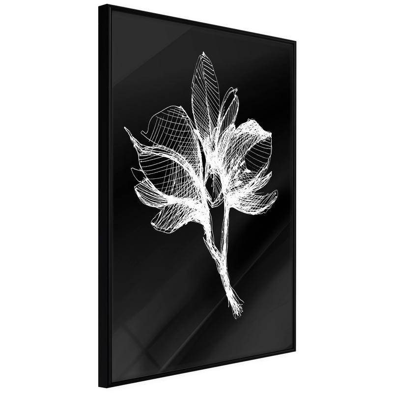 38,00 € Poster - White Plant
