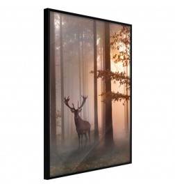 Poster in cornice col cervo nella foresta - Arredalacasa