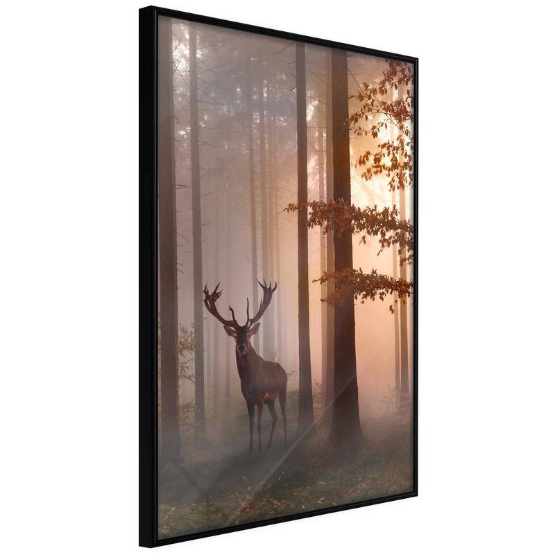 38,00 € Poster con un cervo nella foresta - Arredalacasa