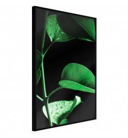 Poster in cornice con una piantina di foglie verdi