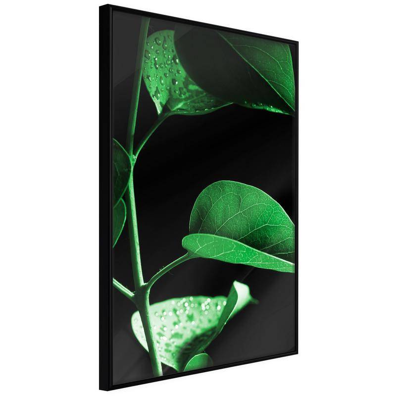 38,00 € Poster roheliste lehtede taimega - Arredalacasa