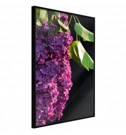 38,00 € Poster met groene bladeren en paarse bloemen, Arredalacasa