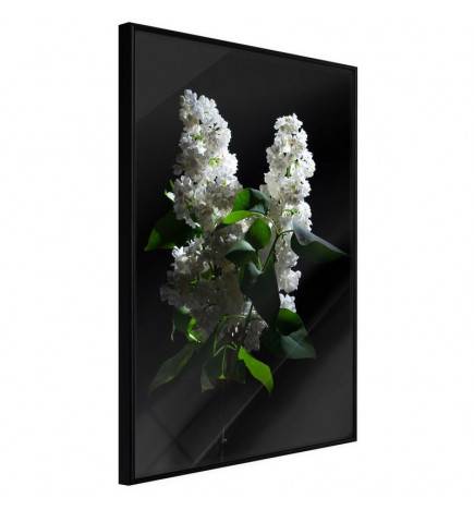 38,00 € Poster roheliste lehtedega ja valged lilled - Arredalacasa